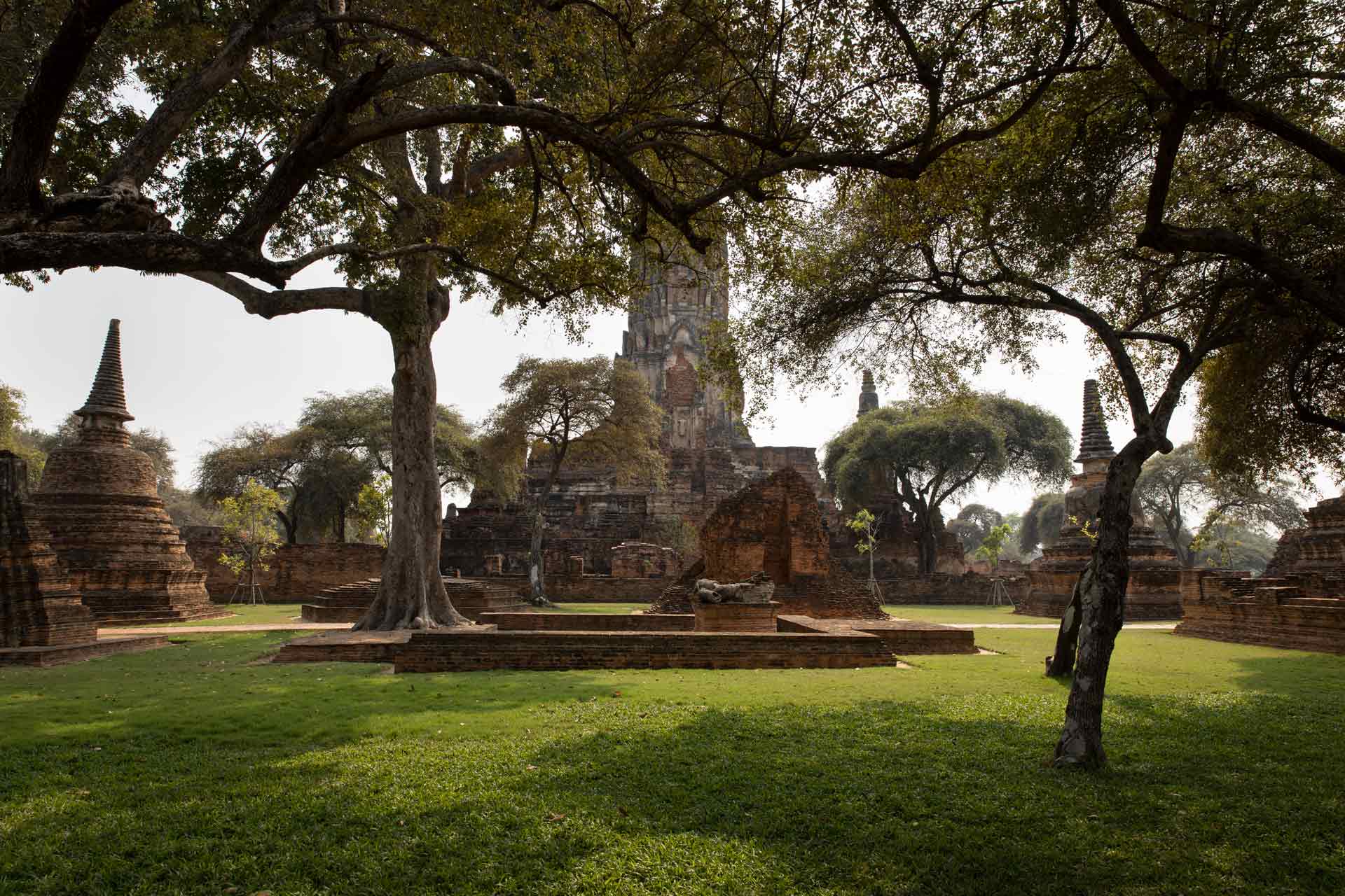 Ayuttaya-Thailand-temples-trees