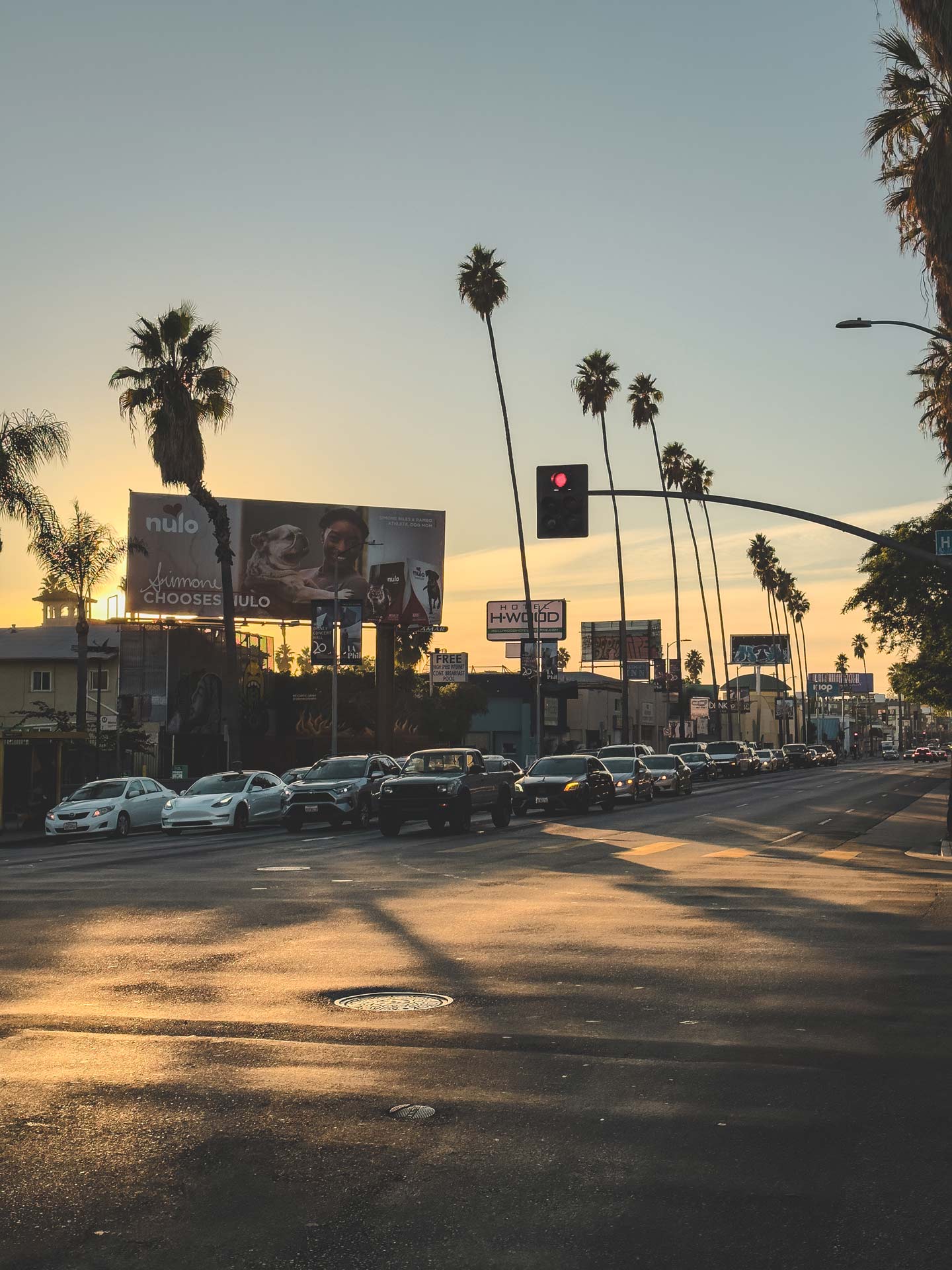 Sunset-Boulevard-Los-Angeles-California-palms